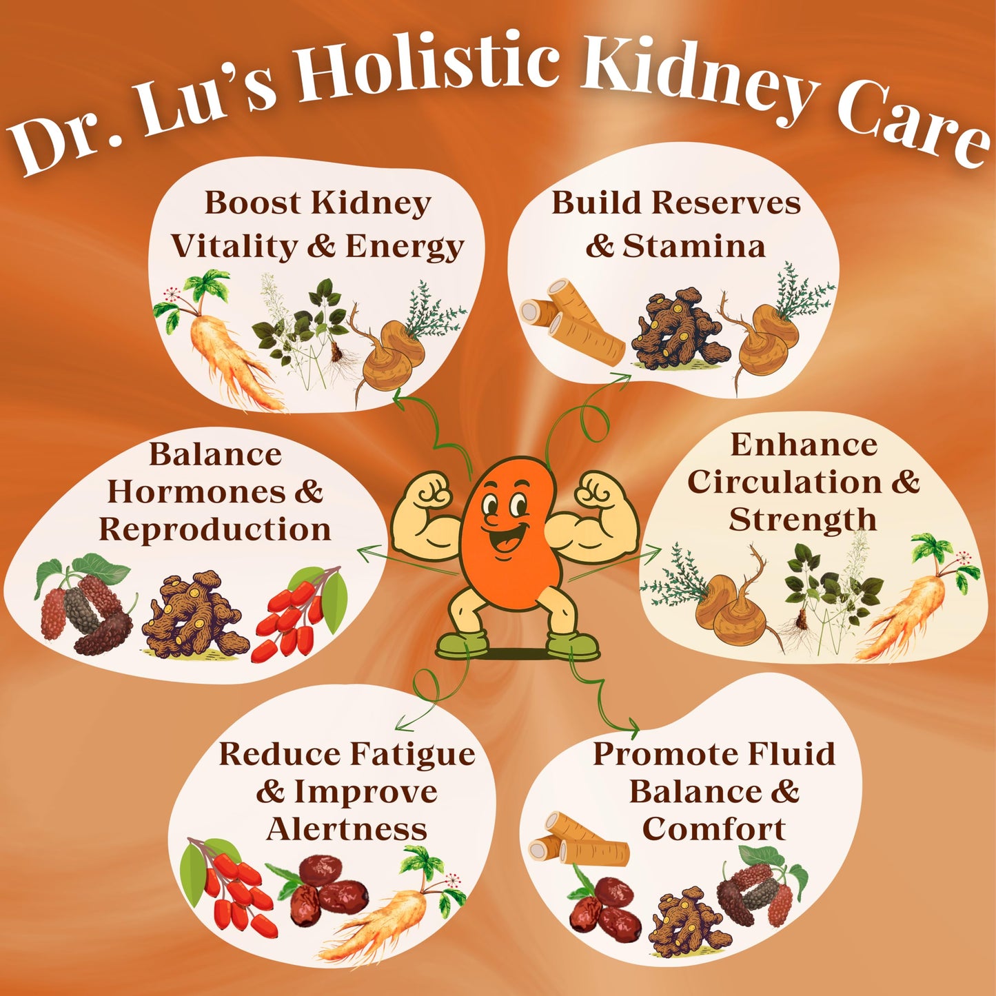 Dr. Lu’s Happy Kidney Tea | 100% Natural Kidney Cleanse Detox & Repair Tea Made in USA | 8-Treasure Kidney Support with Ginseng, Maca Root, Mulberry