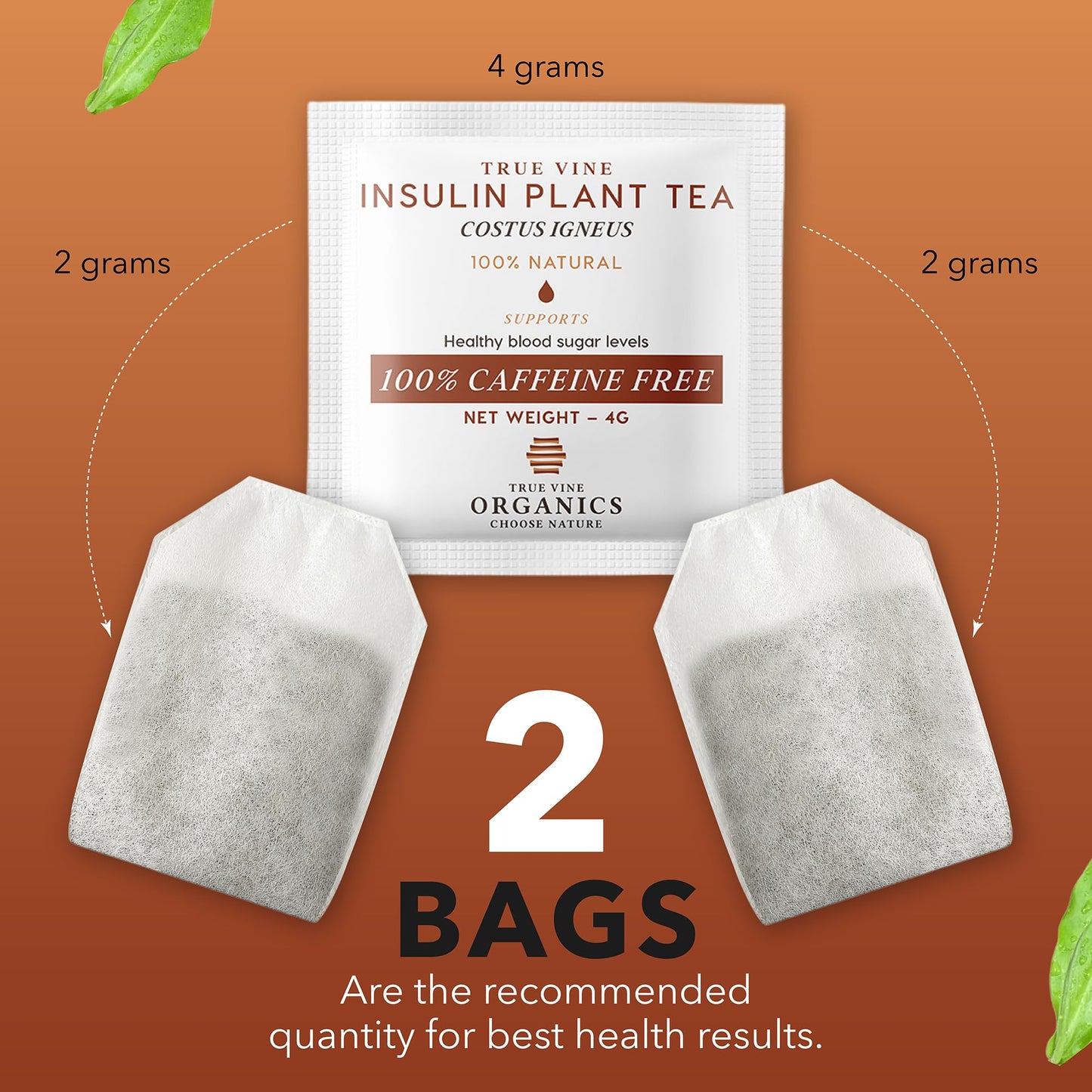True Vine Insulin Plant Tea (USDA Organic) - Herbal Organic Tea Bags for Blood Sugar Support, Digestive Wellness & Metabolic Balance - 100% Natural