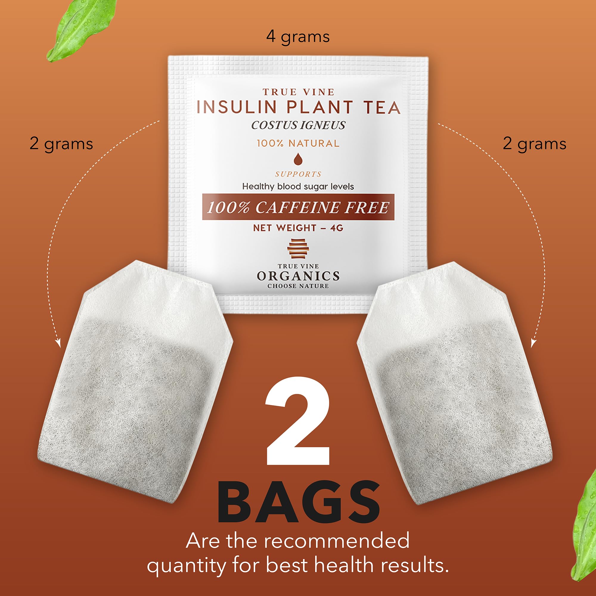 True Vine Insulin Plant Tea (USDA Organic) - Herbal Organic Tea Bags for Blood Sugar Support, Digestive Wellness & Metabolic Balance - 100% Natural