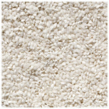 Spanish Bomba Rice for Paella from Spain - 17.5 oz / 500 g - Vegan, Gluten-Free