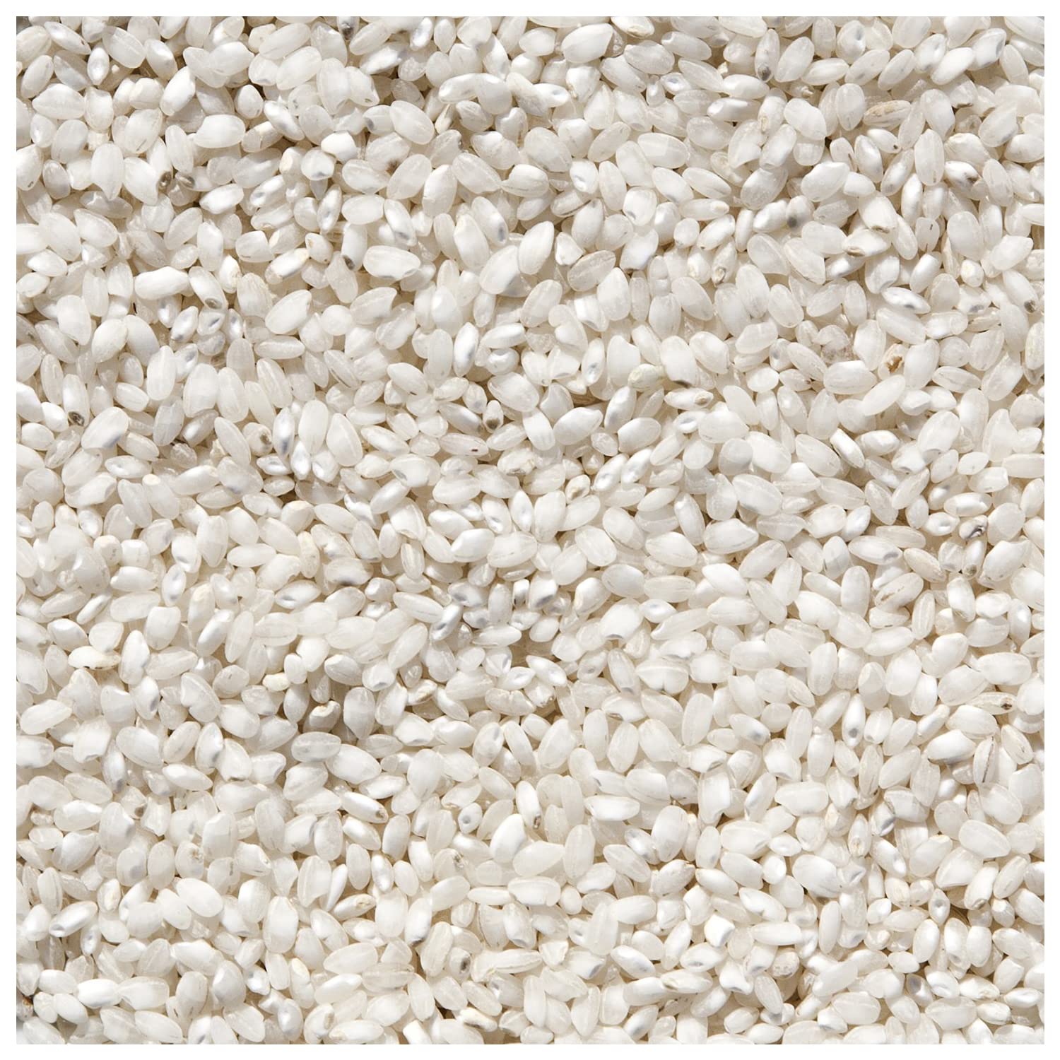 Spanish Bomba Rice for Paella from Spain - 17.5 oz / 500 g - Vegan, Gluten-Free