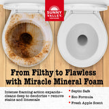 Sunny Valley Orchard Apple Cider Vinegar Foaming Toilet Bowl Cleaner