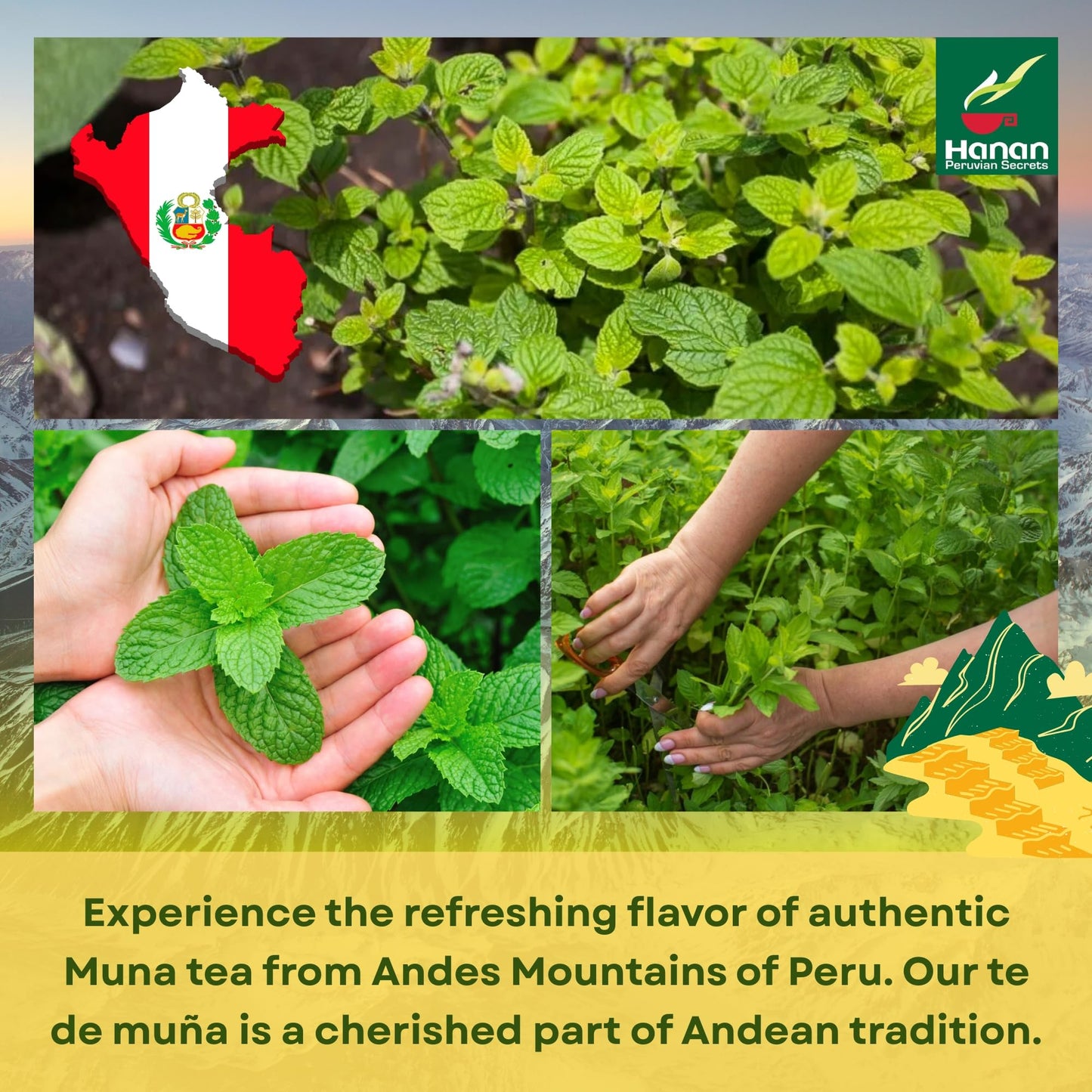 Hanan Muña Tea Bags - 100% Natural Andean Mint Herbal Tea from Peru, 25 Bags of Traditional Té de Muña del Perú, Caffeine-Free for Digestion, Fresh