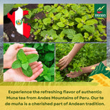 Hanan Muña Tea Bags - 100% Natural Andean Mint Herbal Tea from Peru, 25 Bags of Traditional Té de Muña del Perú, Caffeine-Free for Digestion, Fresh