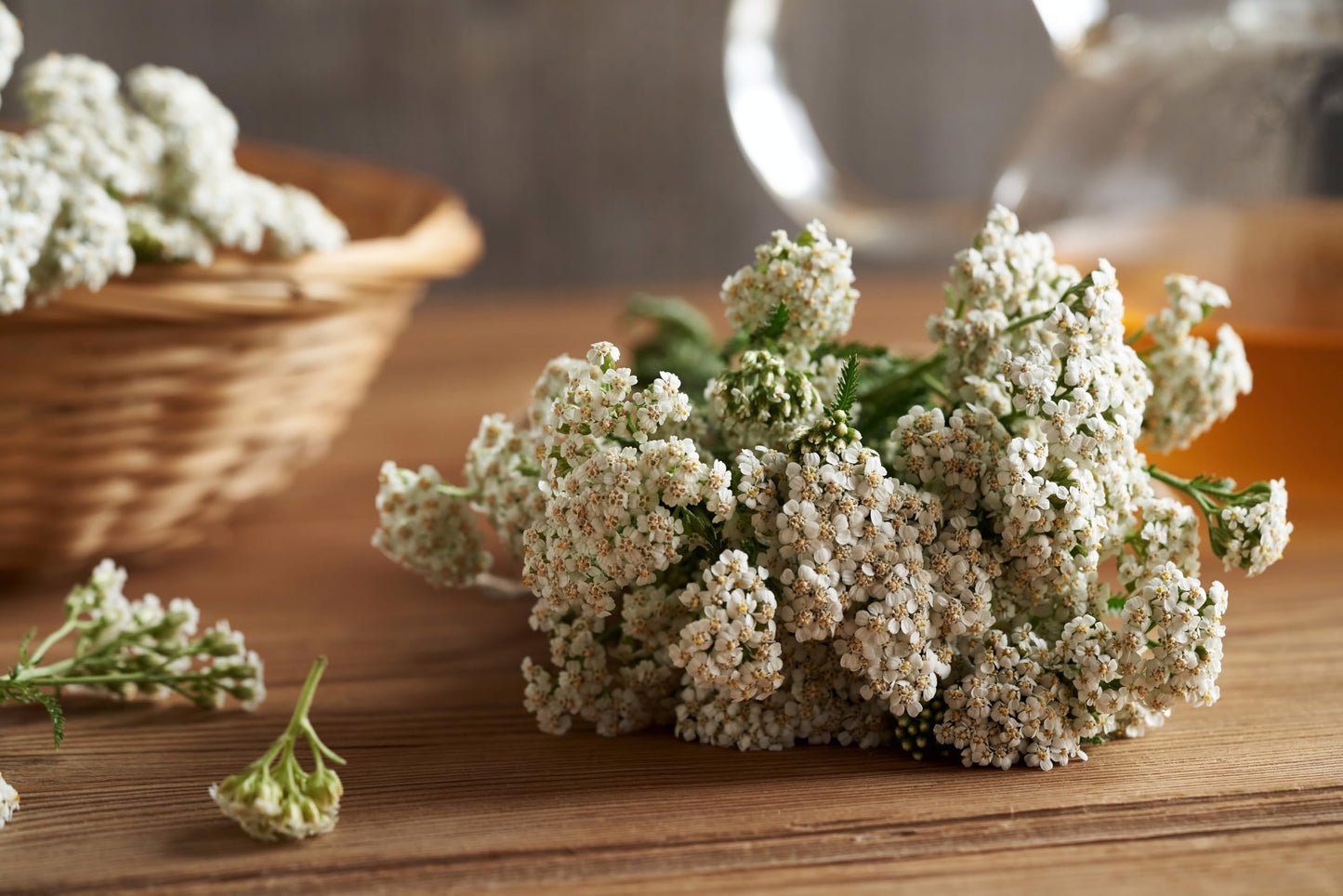Yarrow Flower Tea - Ingredients: 100% Yarrow Flowers (Achillea Millefolium) - All Natural Ayurveda Herb - Net Weight: 1.05oz / 30g (Yarrow Flowers)