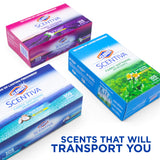 Clorox Scentiva Fabric Softener Dryer Sheets, Tuscan Lavender & Jasmine Scent - Wrinkle Reducing Scented Softening Laundry Dryer Sheets for Great