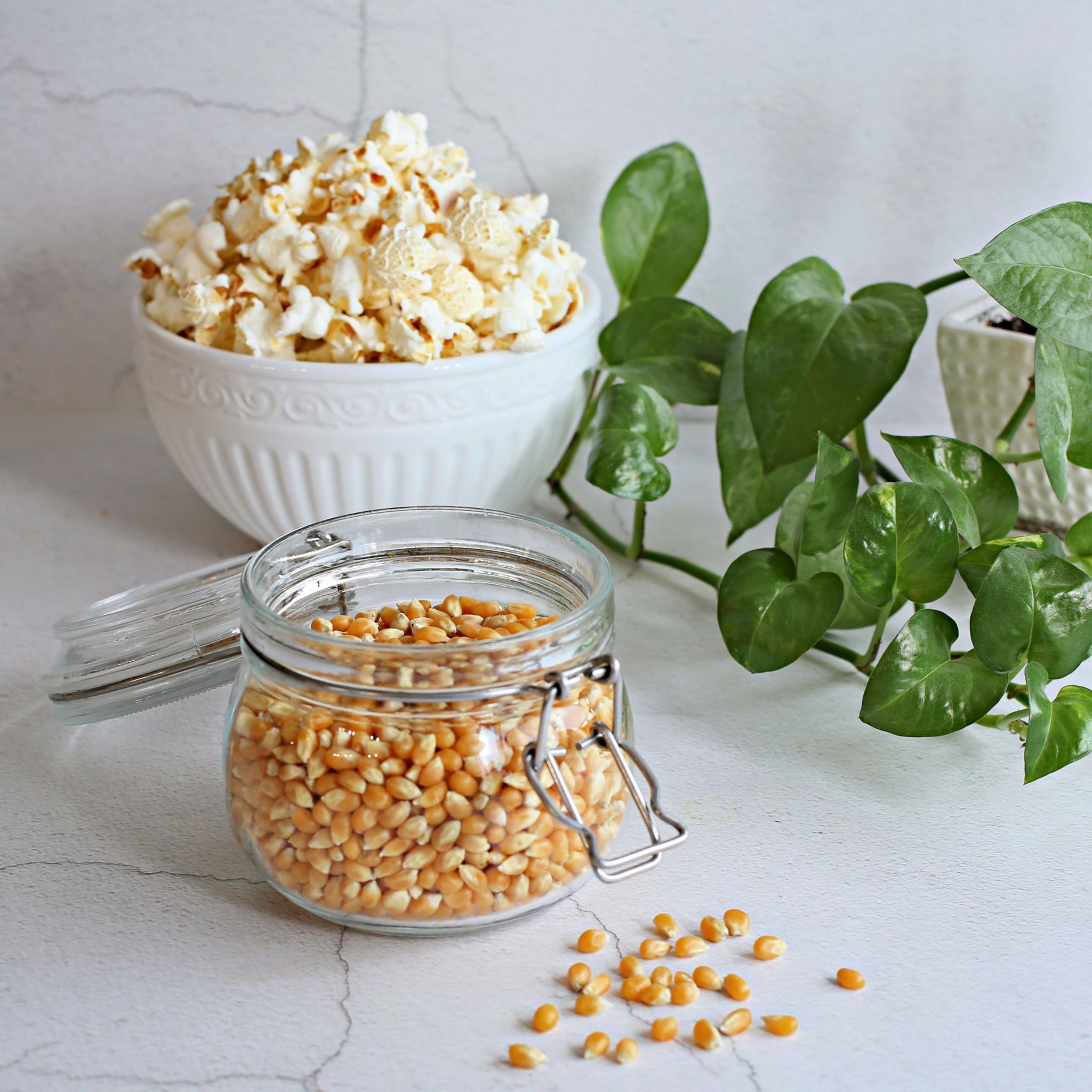 Dell Cove Spices - Mushroom Popcorn Kernels - Perfect for Gourmet Popcorn Makers & Stovetop Popping, Two Pounds