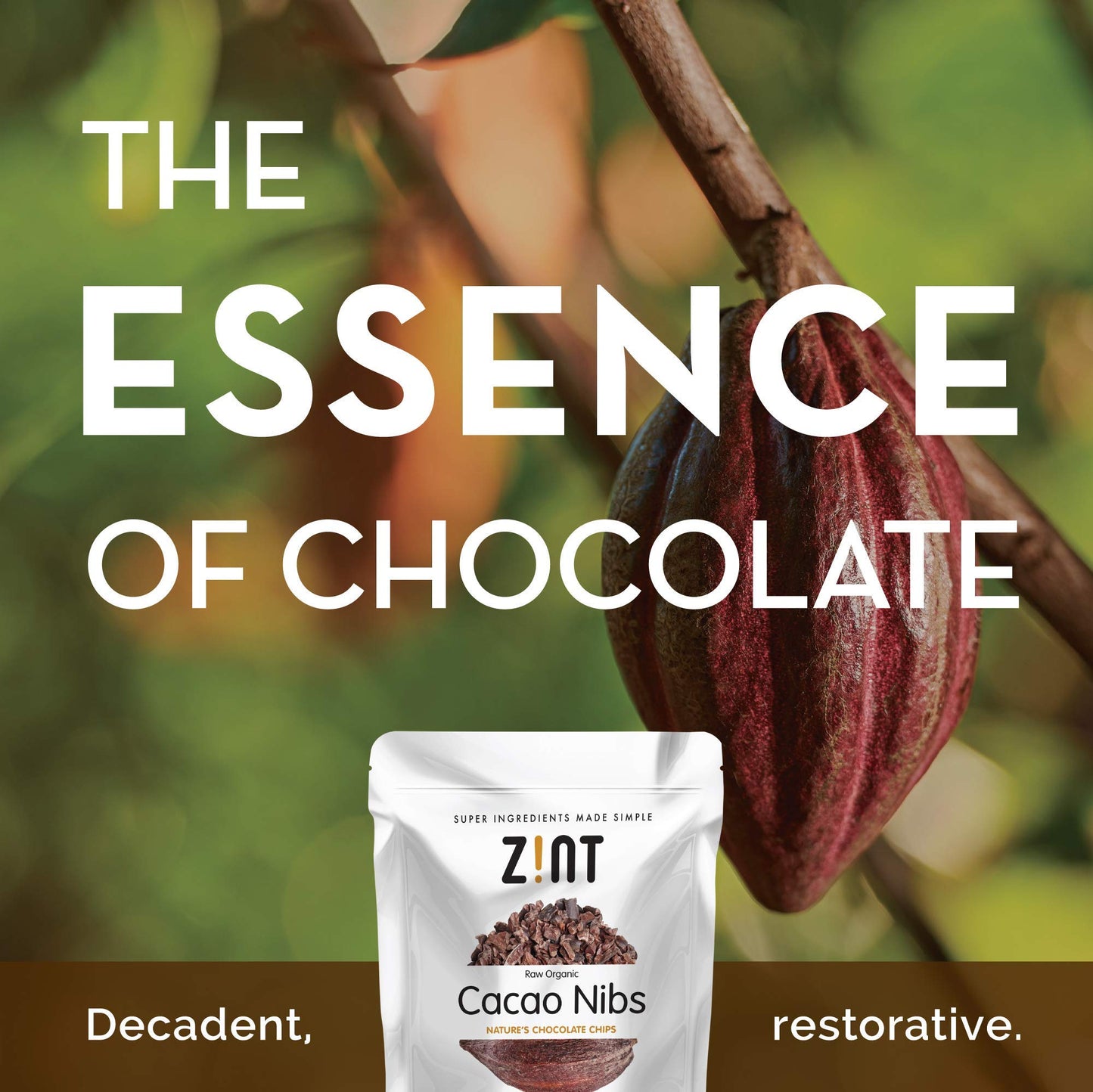 Zint Organic Cacao Nibs (8 oz): Fair Trade, Paleo-Certified, Organic, Non GMO, Anti Aging Antioxidant Superfood, Gluten Free Cocoa Cacao Beans