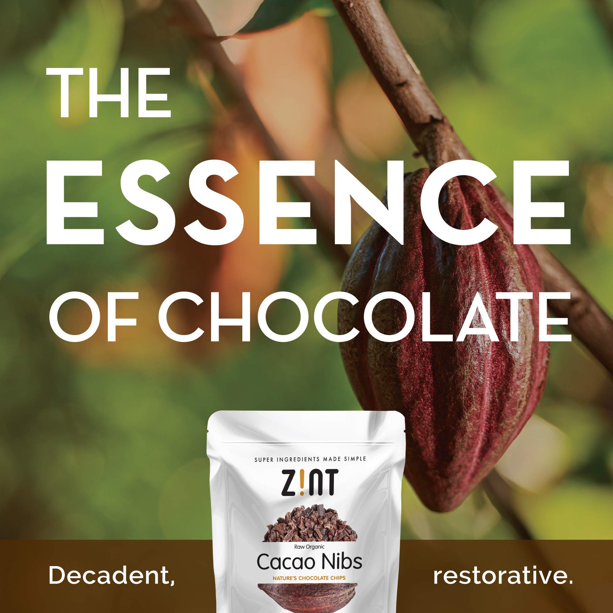 Zint Organic Cacao Nibs (8 oz): Fair Trade, Paleo-Certified, Organic, Non GMO, Anti Aging Antioxidant Superfood, Gluten Free Cocoa Cacao Beans