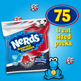 NERDS Gummy Clusters Candy, Berry Punch Breakaway, Summer Gummy Candy, 37.5 oz, 75 Count