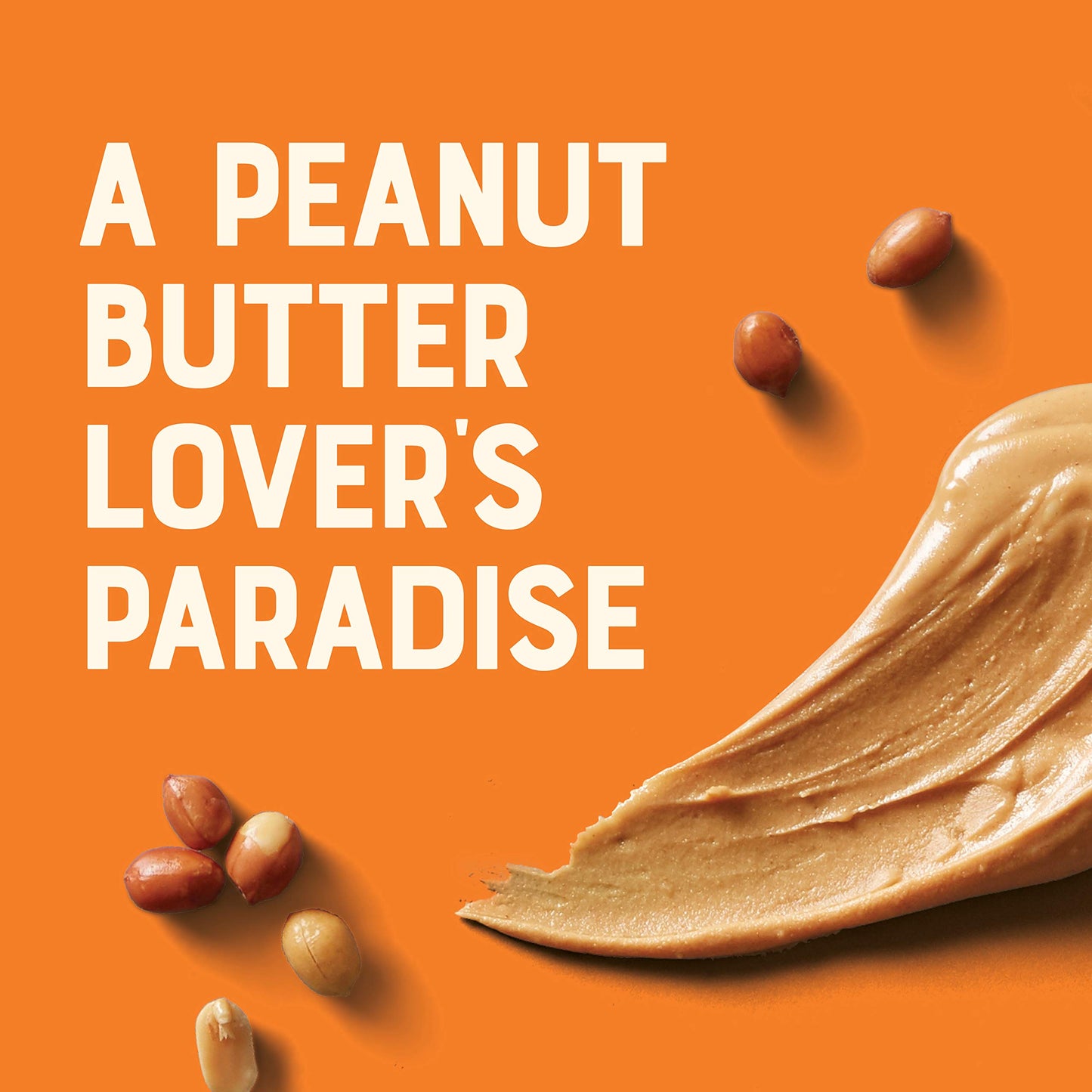 Clif Bar 436883 Nut Butter Filled Peanut Butter Energy Bar