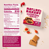 Nature’s Bakery Gluten Free Fig Bars, Raspberry, Real Fruit, Vegan, Non-GMO, Snack Bar, 1 box with 6 twin packs (6 twin packs)