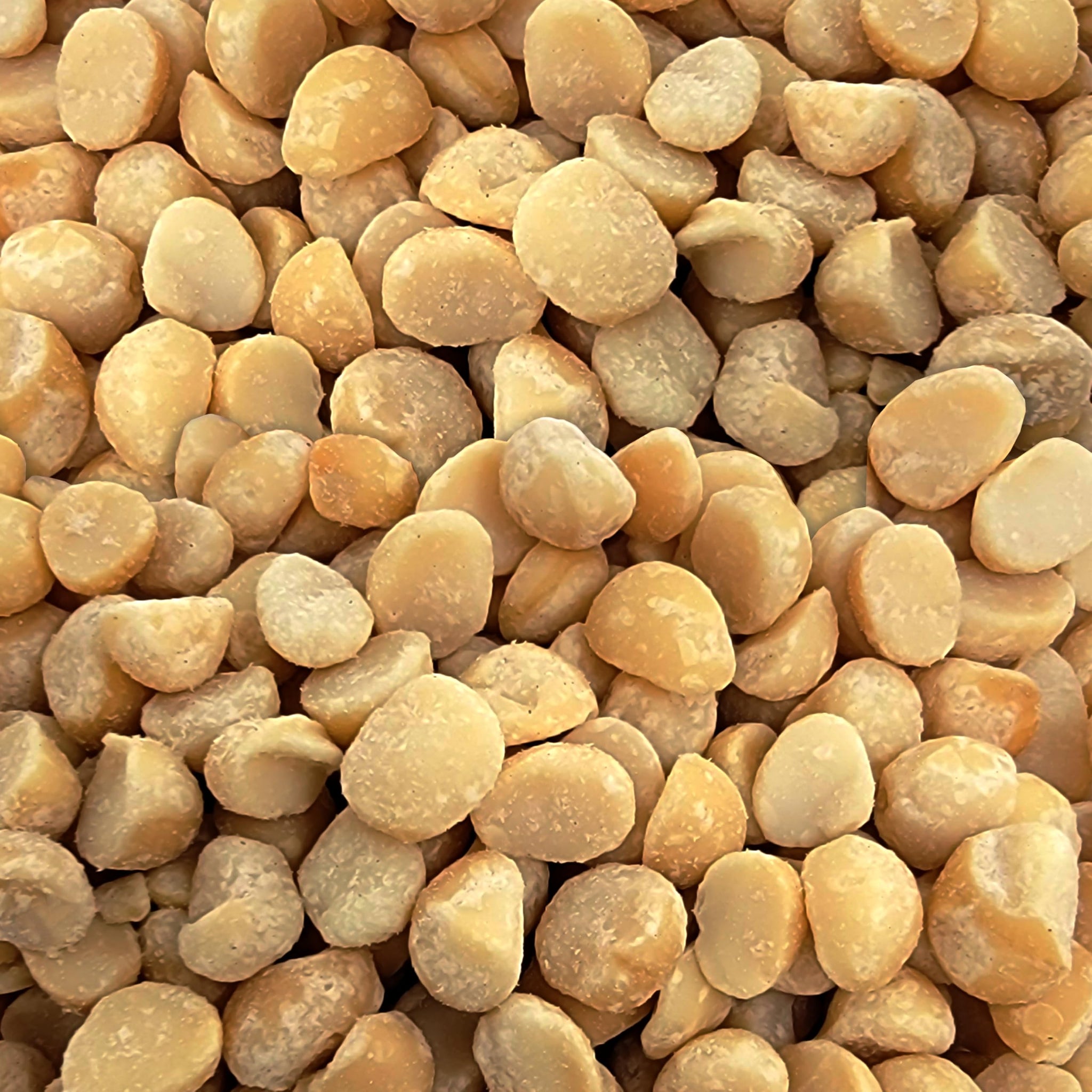 Wellsley Farms Salted & Dry Roasted Macadamia Nuts (1 Bag), Lightly Seasoned with Sea Salt, 10 oz Resealable Bag - Kosher, Keto-Friendly.