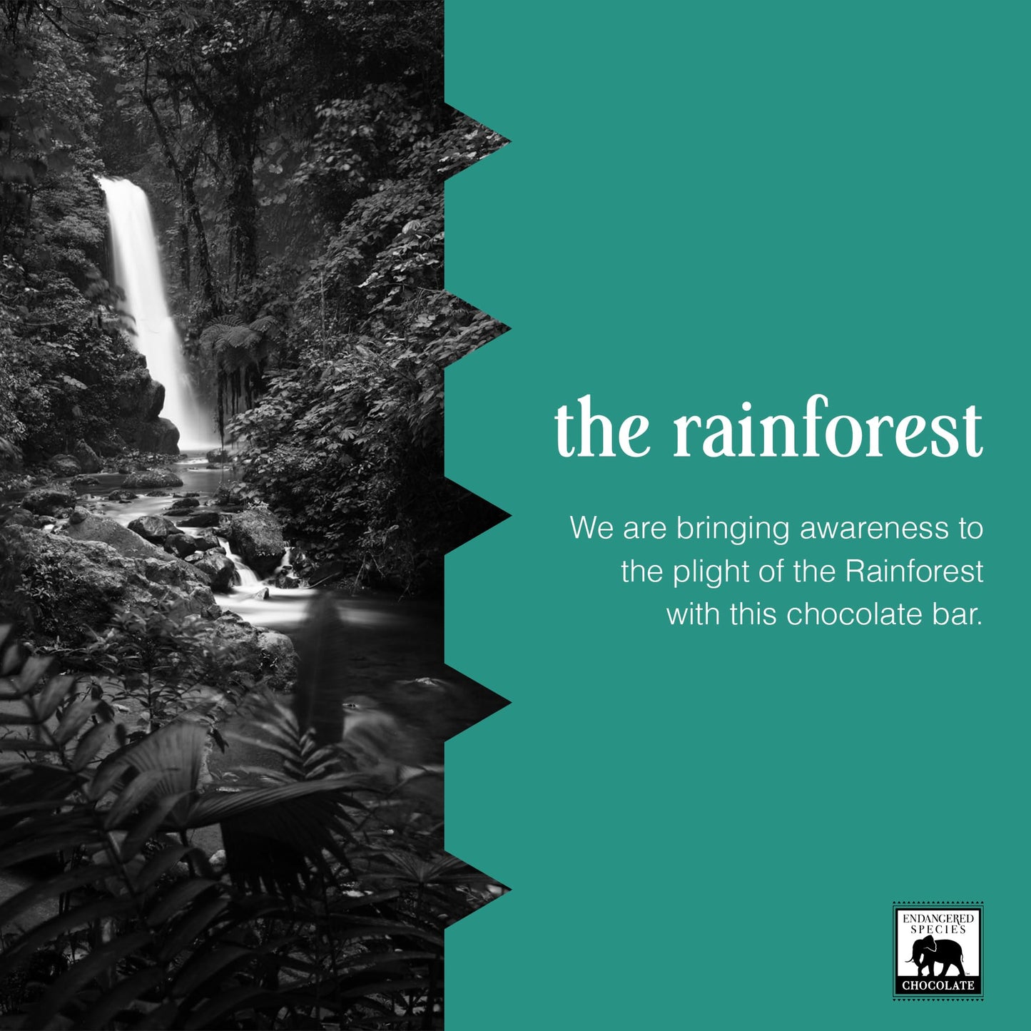 Endangered Species Dark Chocolate Bar with Cacao Nibs (72% cocoa)