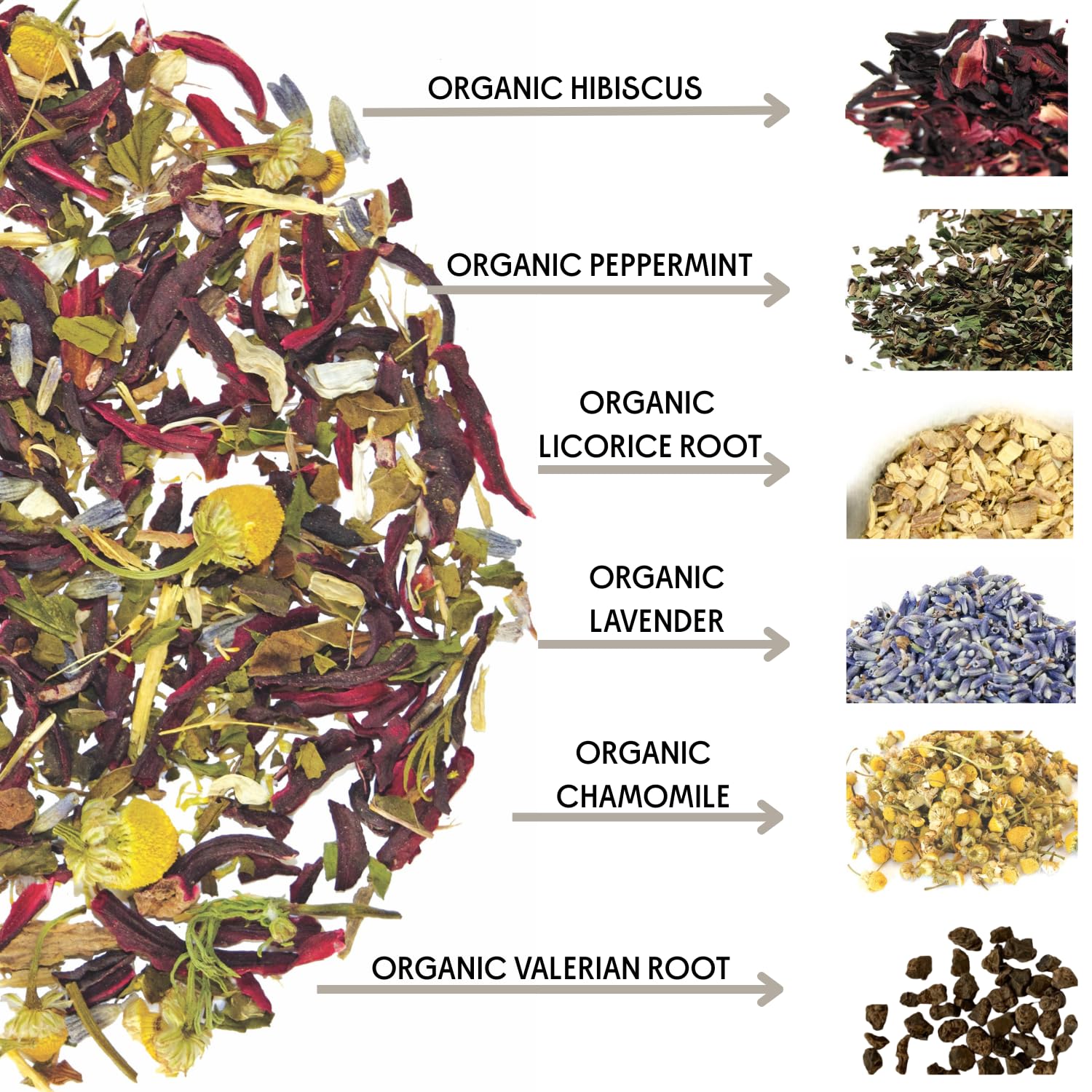 The Tea Spot Organic Lights Out Tea with Valerian Root Relaxation | Blend of Hibiscus, Peppermint, Chamomile, Lavender, Licorice Root & Valerian Root