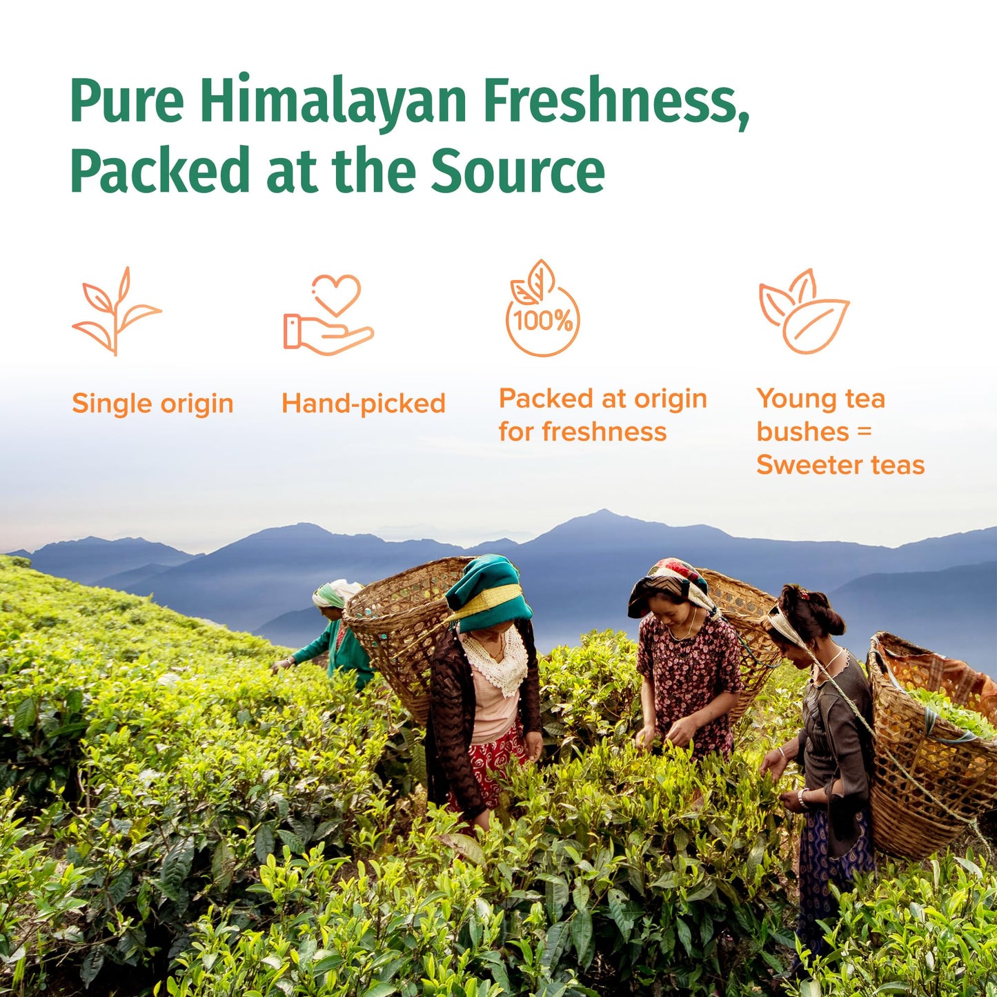 NEPAL TEA Organic Chai Tea Bags from the Himalayas, Chai Spice Blend - 15 Pyramid Tea Bags, Single Origin Chai Spice Tea - Black Tea Bags, Loose Leaf