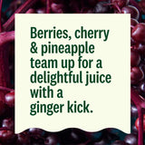Suja Organic Gut Health Elderberry Ginger Cold Pressed Juice Drink, 12 fl oz Bottle