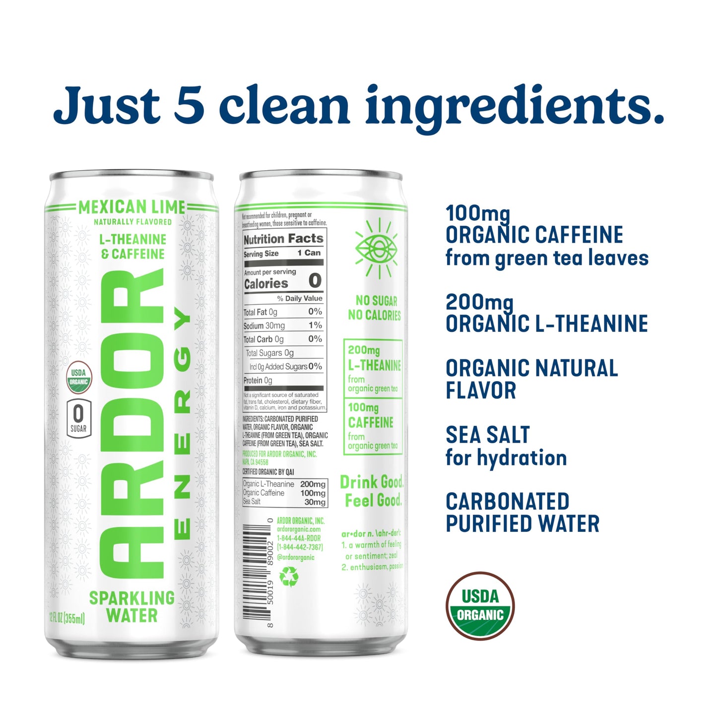 ARDOR ENERGY Sparkling Water with 100mg Natural Caffeine & 200mg L-Theanine from Organic Green Tea for Smooth Energy & Focus | Healthy Energy Drink |