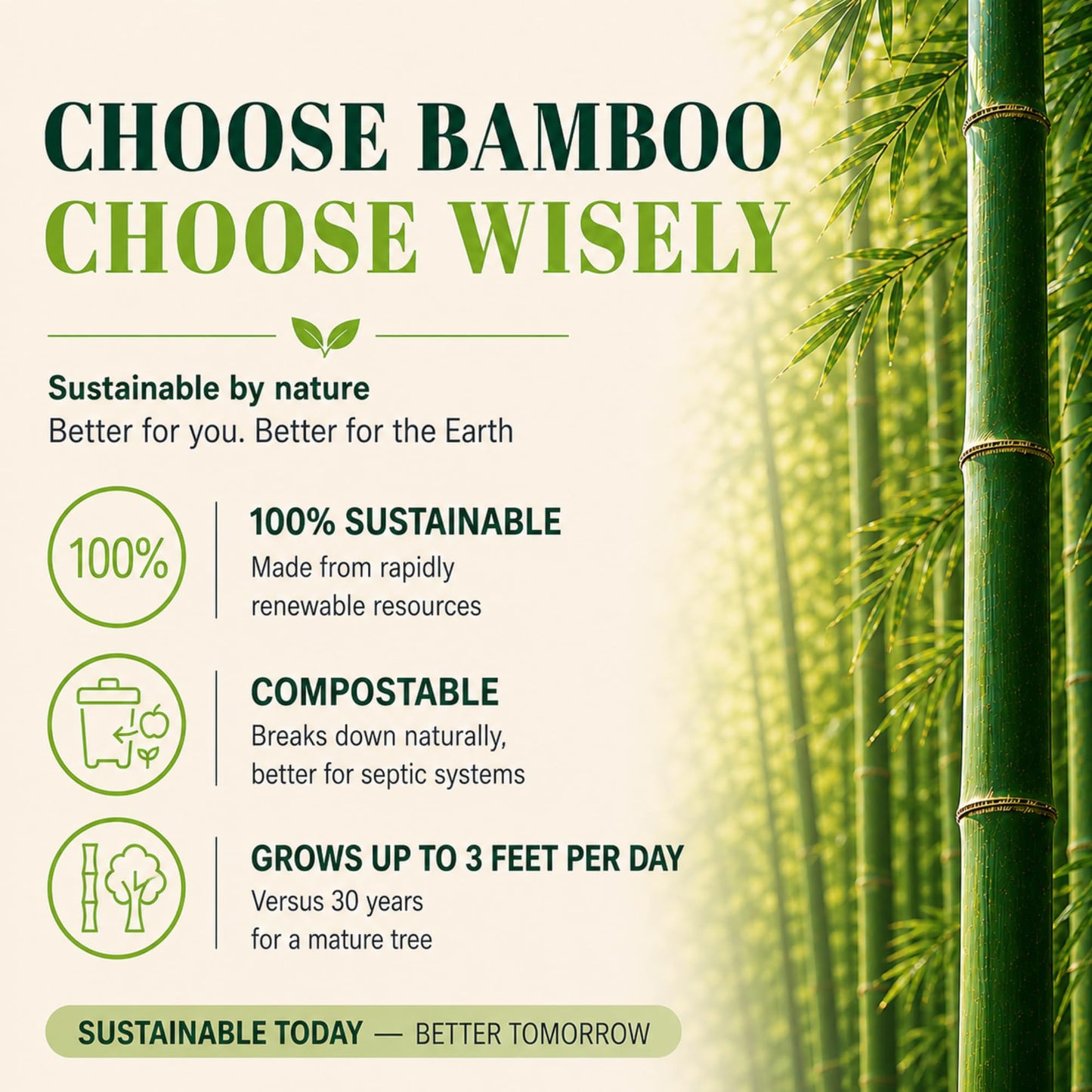 12 Rolls 100% Bamboo Toilet Paper, 3-Ply 400 Sheets | Healthy Tree Free Tissue | FSC Certified, Septic Safe, PFAS Free, Plastic Free Packaging