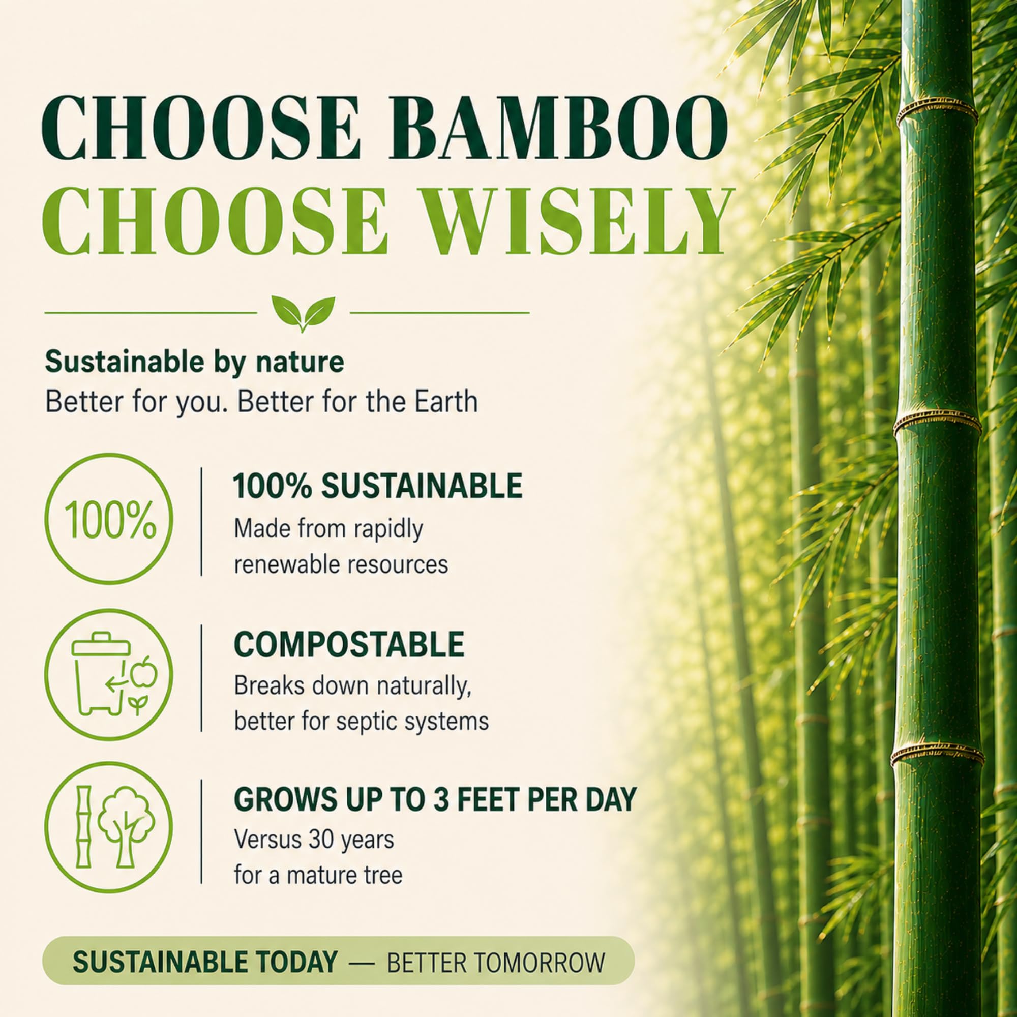 12 Rolls 100% Bamboo Toilet Paper, 3-Ply 400 Sheets | Healthy Tree Free Tissue | FSC Certified, Septic Safe, PFAS Free, Plastic Free Packaging