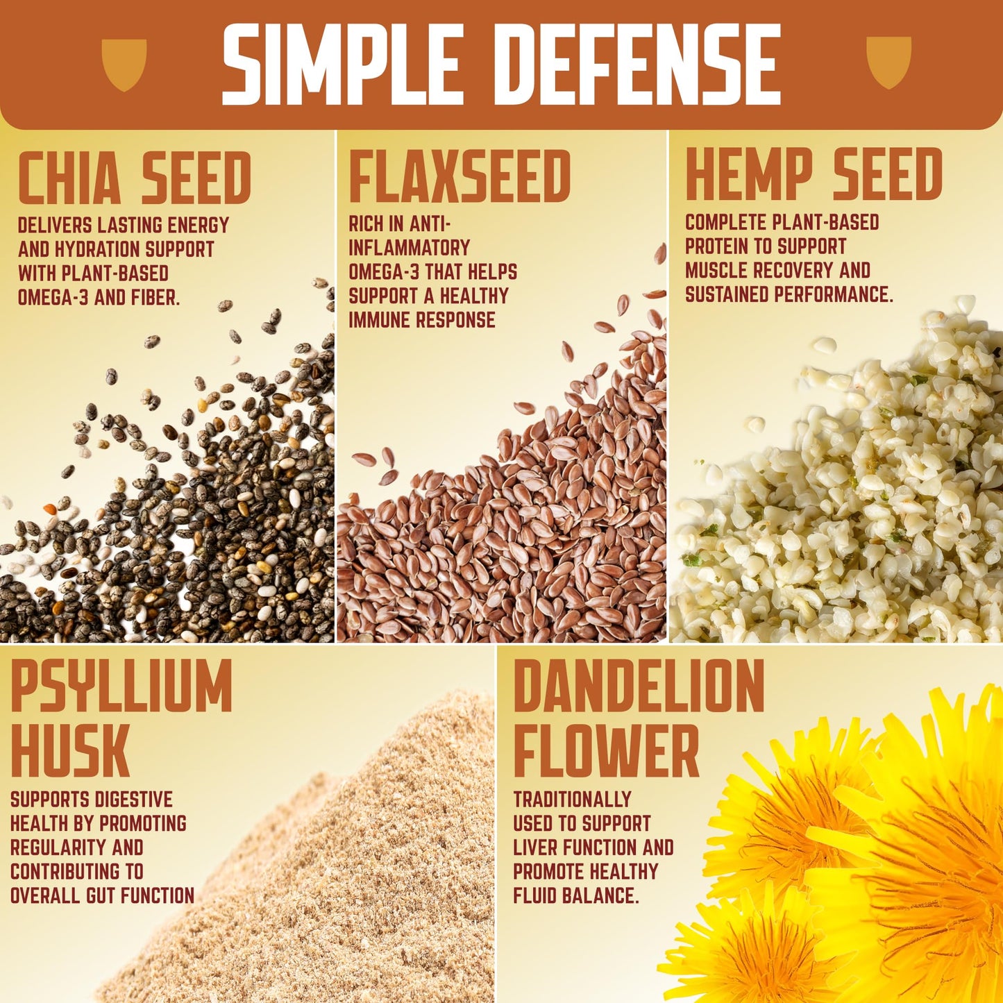 Defender Vegan Protein Bar, Peanut Butter Chocolate, Plant Based Snack or Breakfast Bars, Psyllium Husk, Dandelion Root, High Fiber, Non GMO, Kosher