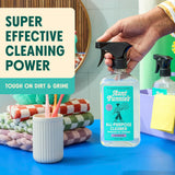 Aunt Fannie's All Purpose Household Cleaner, Multi-surface Spray, Powered by Vinegar for Kitchen, Bath, Windows and Countertops, Lavender Scent (Pack