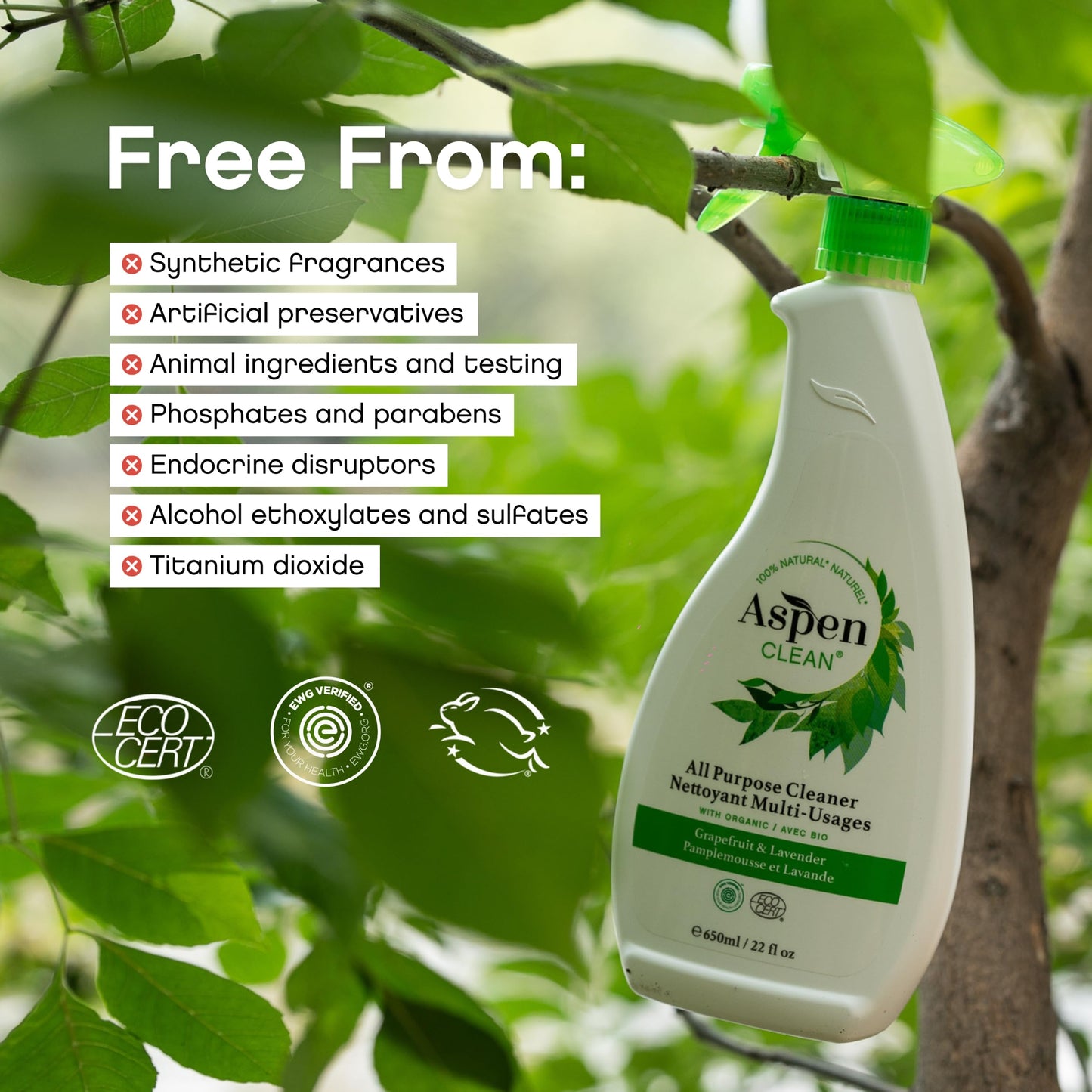 AspenClean | All-Purpose Spray Cleaner | Streak-Free Multi-Surface Cleaner with Essential Oils | Non - Toxic | 100% Natural | EWG Verified | Pack of 2
