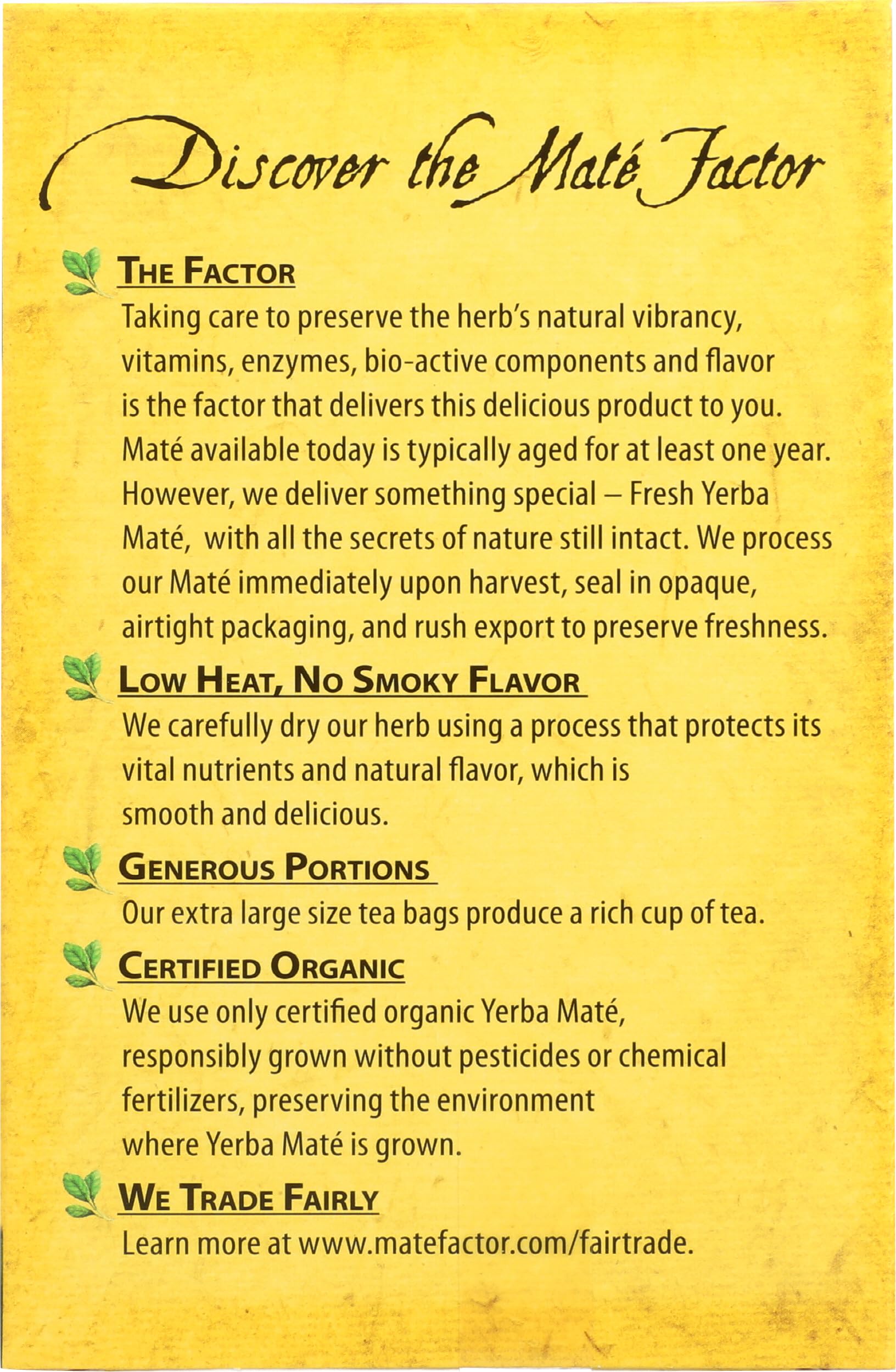 THE MATE FACTOR Lemon Ginger, 20 Count