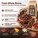 Guzzling Goat Ethiopian Coffee Beans | Premium 100% Arabica Whole Bean Coffee Medium Roast | Strong Flavorful Brew | Sourced & Roasted in Ethiopia | 1