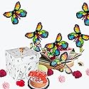 Blossom Explosion Box, Ready to Gift, No Assembly Required with Flower Shower & Flying Butterfly Surprise by Send A Cake - Gift for Women, Men