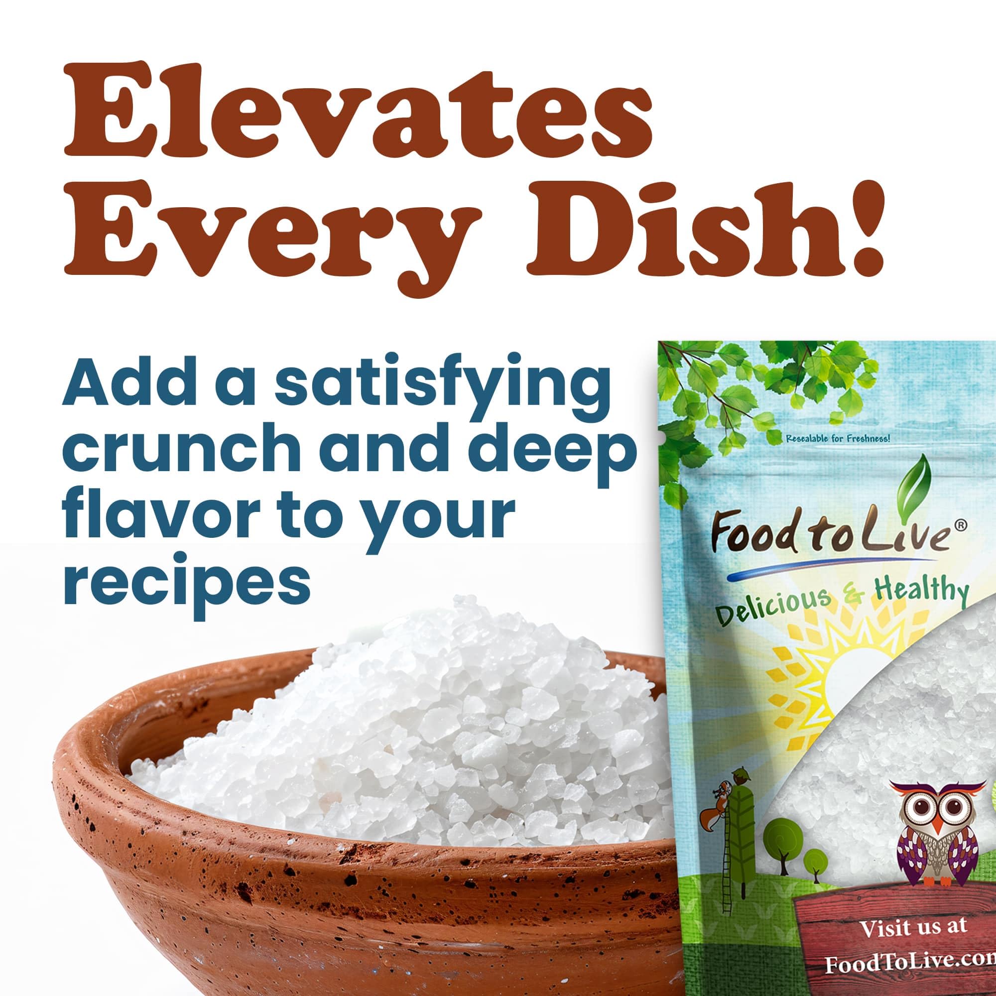 Food to Live Mediterranean Sea Salt, 12 Pounds - Coarse Grain, Pure Crystals, No Additives, No Preservatives, Vegan, Kosher. Rich Minerals.
