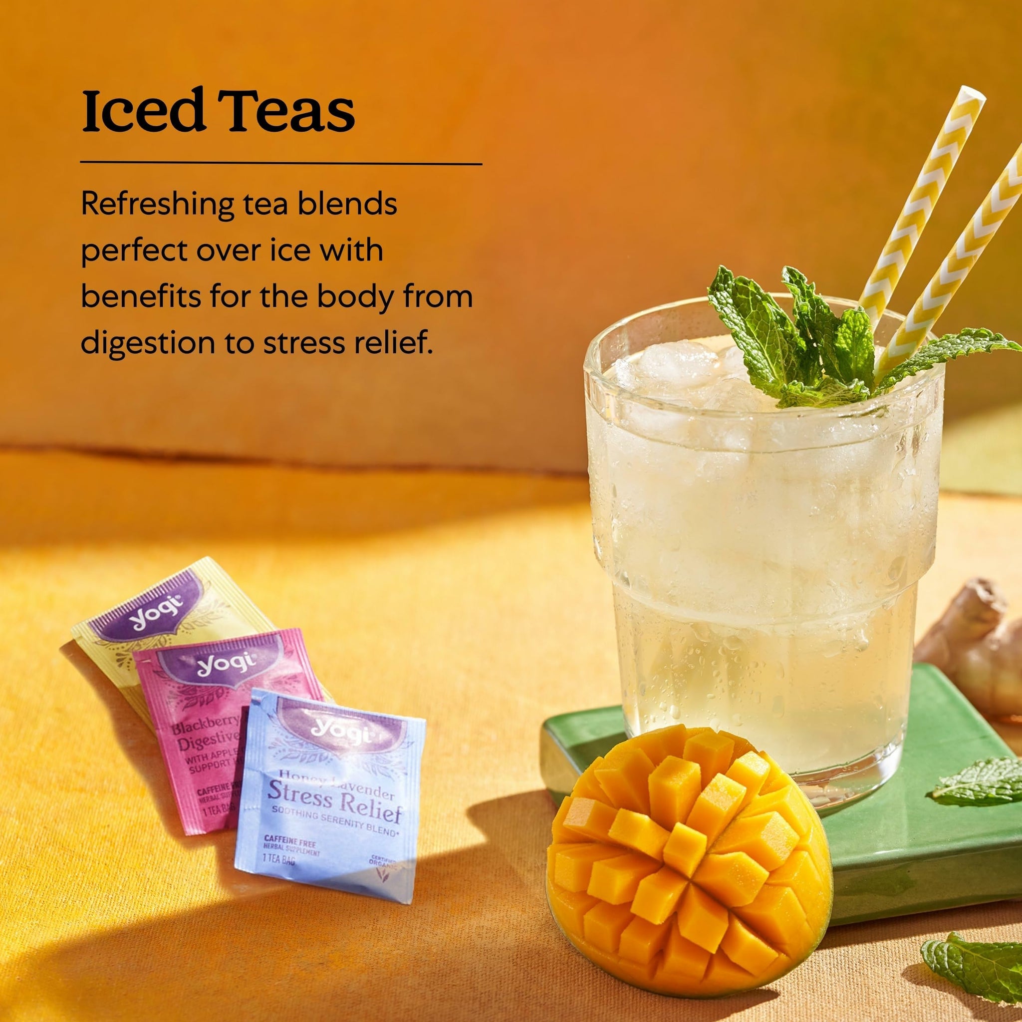 Yogi Tea Iced Tea Variety Pack - 16 Bags per Pack (3 Packs) - Organic Sampler - Includes Mango Ginger, Blackberry Apple Cider Digestive Awakening
