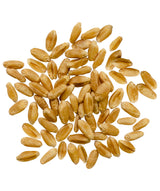 Palouse Brand Certified Glyphosate Residue Free Hard Red Spring Wheat Berries | 5 LBS | 100% Non-Irradiated | Certified Kosher Parve | USA Grown |