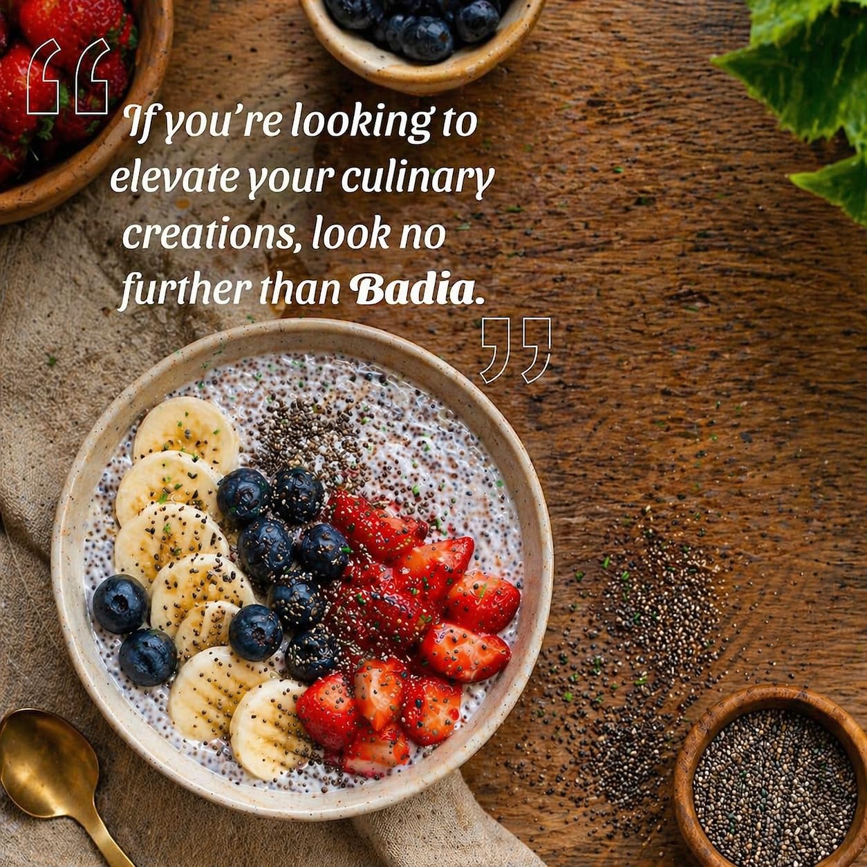 Badia Ground Chia Seeds, 16 oz - Superfood for Smoothies, Baking & Cooking - Source of Fiber, Omega-3 & Protein