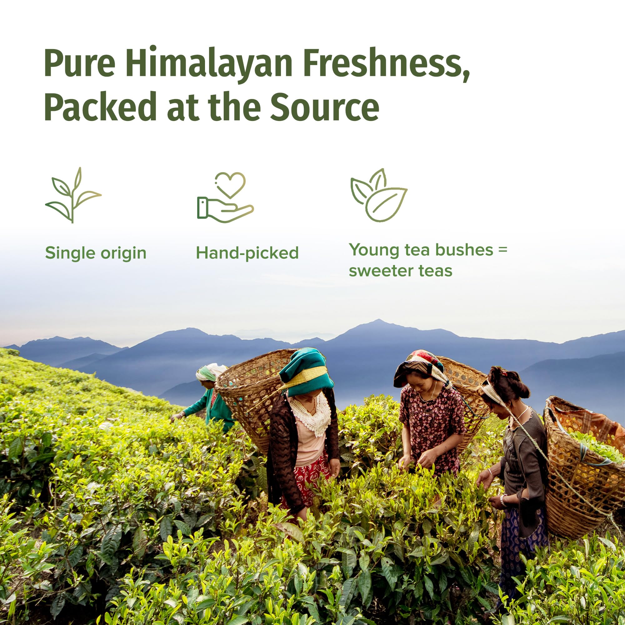NEPAL TEA Organic Black Tea Bags from the Himalayas - 15 Pyramid Tea Bags, Single Origin from a Family Farm - Black Tea Bags with Loose Leaf Tea