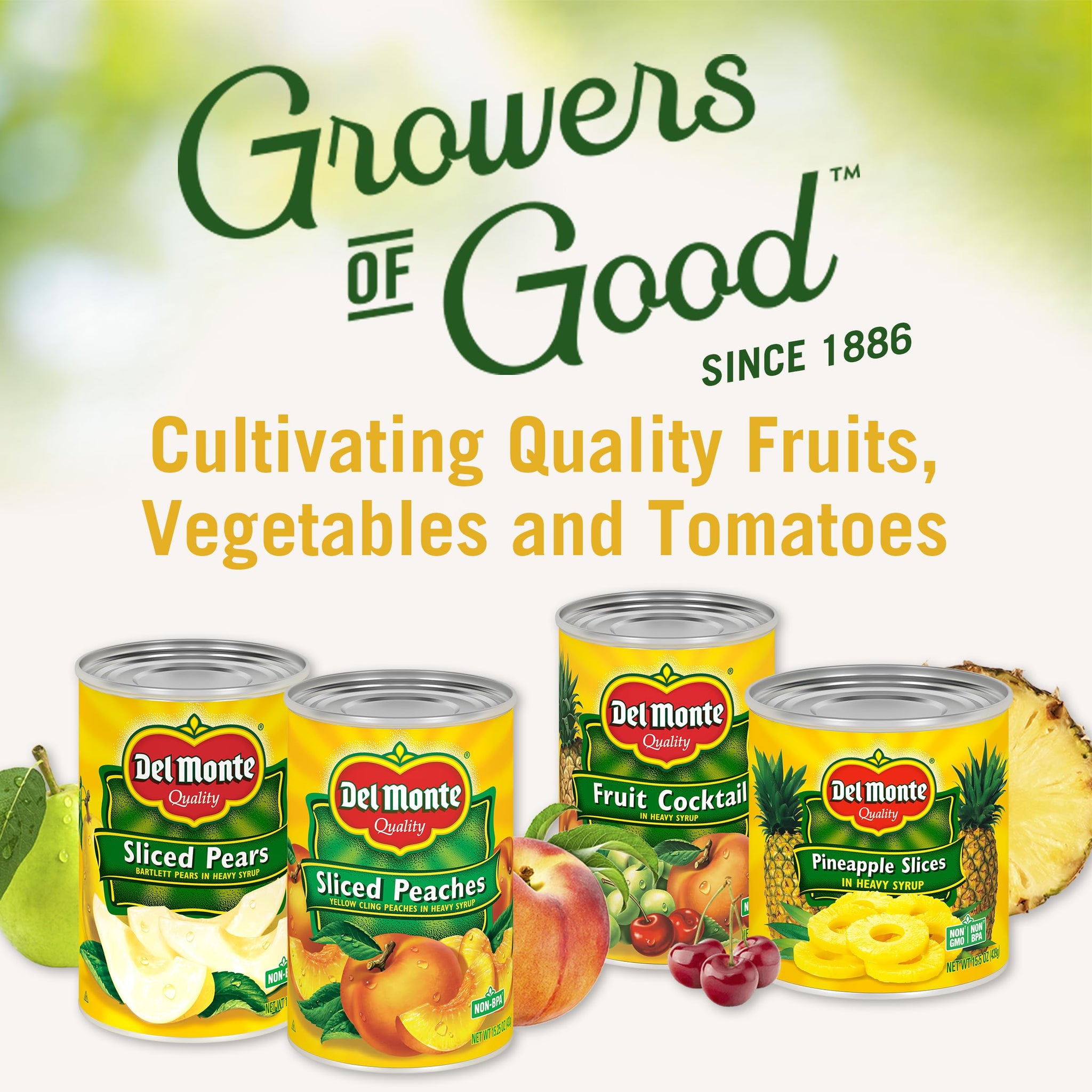 DEL MONTE Diced Mango in Extra Light Syrup, Canned Fruit, 15 oz Can