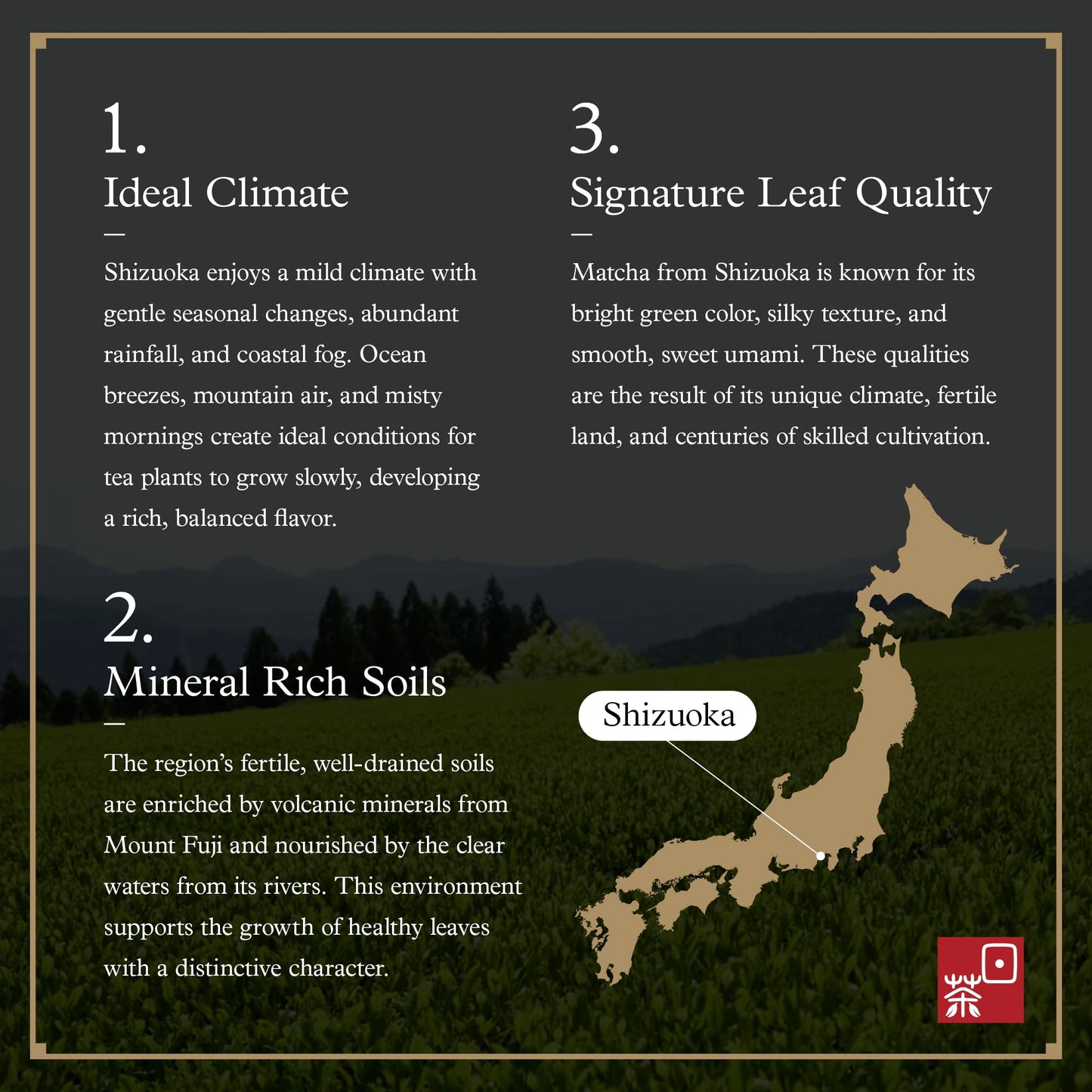 Ocha & Co. Shizuoka Organic Matcha - Ceremonial Grade - ECO JAS Organic Certified - Japanese First-Harvest Matcha Green Tea Powder, Traditionally