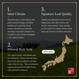 Ocha & Co. Shizuoka Organic Matcha - Ceremonial Grade - ECO JAS Organic Certified - Japanese First-Harvest Matcha Green Tea Powder, Traditionally