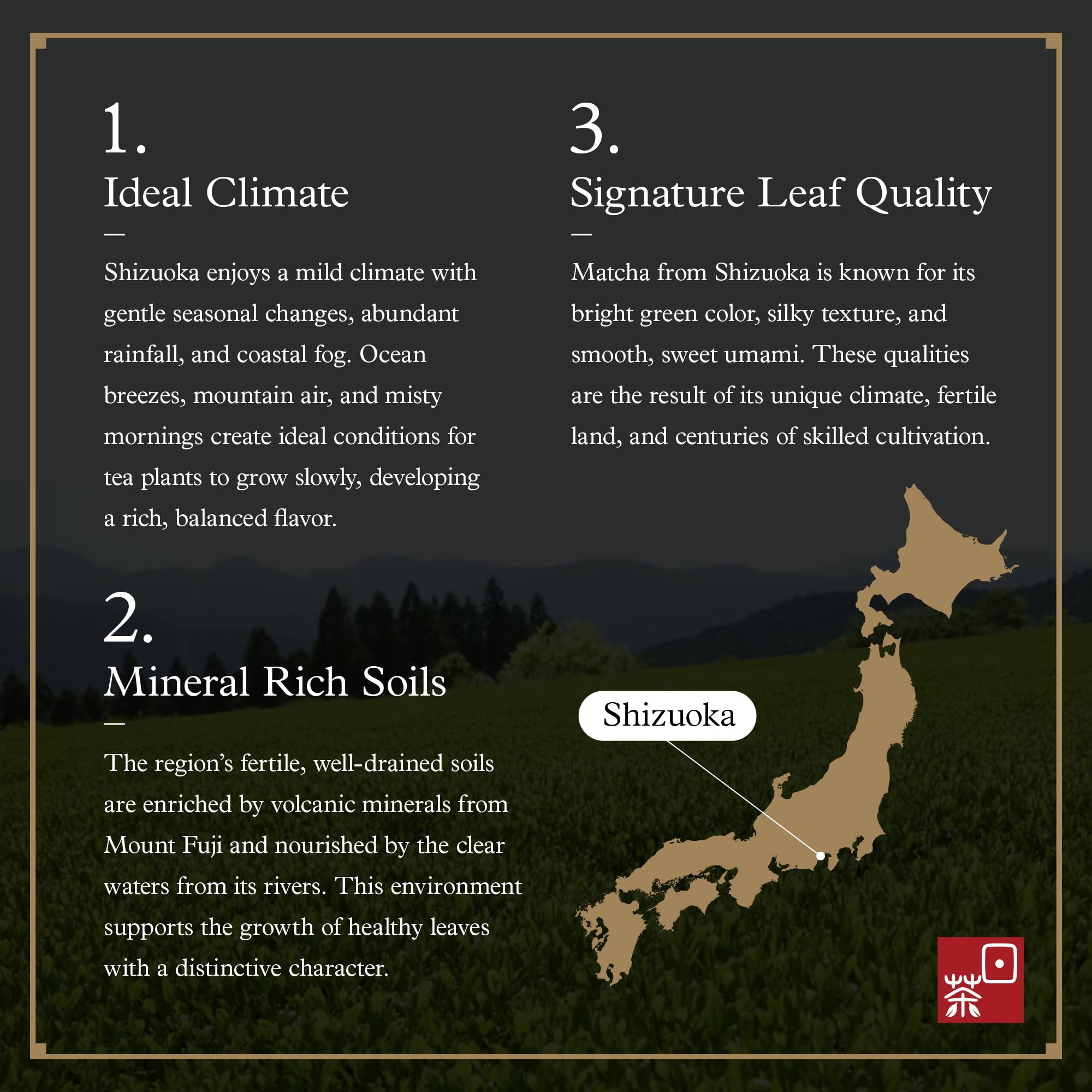 Ocha & Co. Shizuoka Organic Matcha - Ceremonial Grade - ECO JAS Organic Certified - Japanese First-Harvest Matcha Green Tea Powder, Traditionally