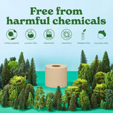 Caboo Tree Free Unbleached Toilet Paper | Plastic Free Packaging, Septic Safe, Eco Friendly, Chemical Free, Non Toxic | 2 Ply Toilet Tissue, Pack