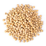 Food to Live Organic Soybeans, 5 Pounds - Dry Soy Beans, Pure and Natural, Nutritious Snack, High-Protein, Perfect for Soy Milk, Tofu, Cooking, Baking