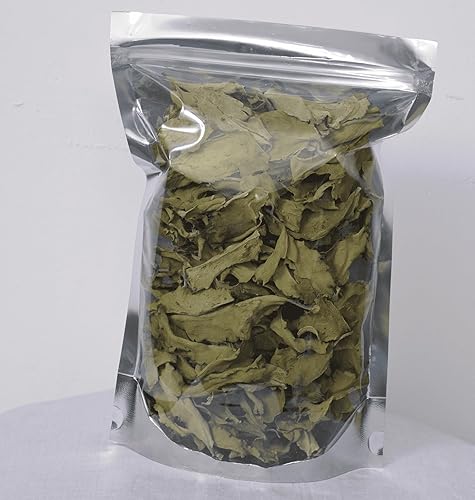 AYUSH PURE 200 Kalanchoe Pinnata Leaves Leaf of Lives Miracale Plant Healthy Well Cleaned Dried Leaves Herbal Tea (200)