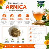 Green Royalty Arnica Montana Loose Herbal Tea - 100% Natural Arnica Flowers, Resealable Freshness Bag, Makes 30+ Cups, Hot or Iced Herbal Infusion