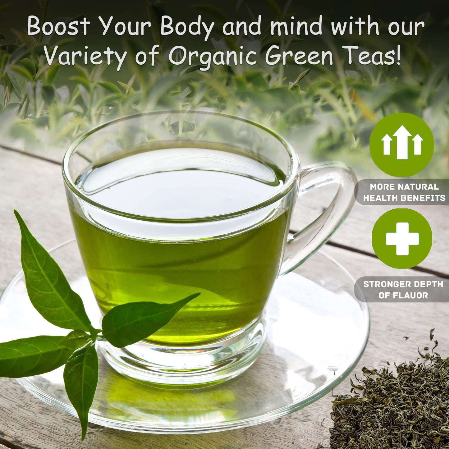 100% Organic Ceylon Green Tea - 50 Packets - Natural Antioxidant Rich Herbal Leaf Teabags - USDA Certified and Non-GMO - Caffeinated Premium Gift Tin