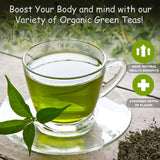 100% Organic Ceylon Green Tea - 50 Packets - Natural Antioxidant Rich Herbal Leaf Teabags - USDA Certified and Non-GMO - Caffeinated Premium Gift Tin