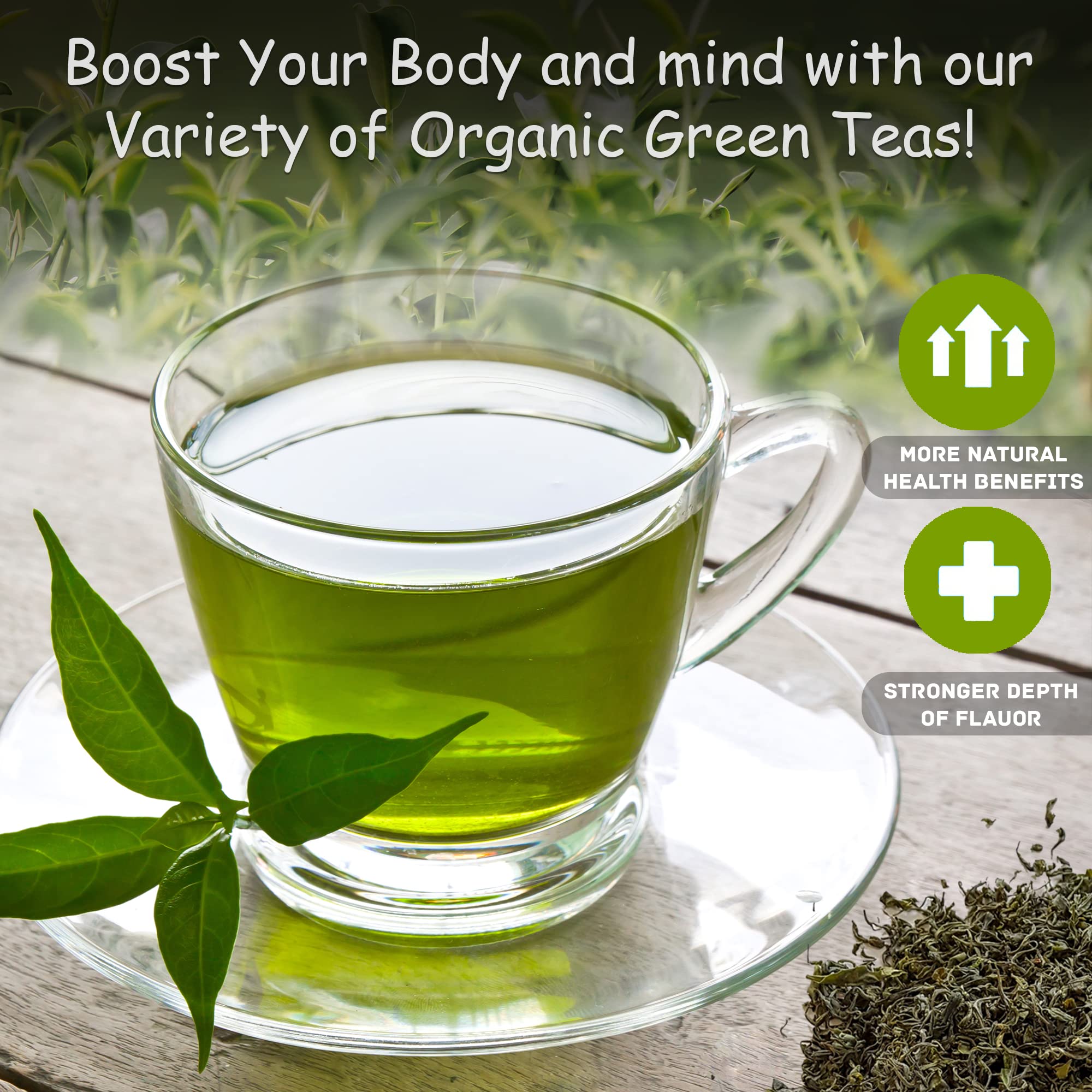 100% Organic Ceylon Green Tea - 50 Packets - Natural Antioxidant Rich Herbal Leaf Teabags - USDA Certified and Non-GMO - Caffeinated Premium Gift Tin