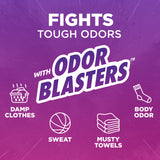 ARM & HAMMER Odor Blasters In-Wash Scent Booster, Fresh Botanical, 24 Oz