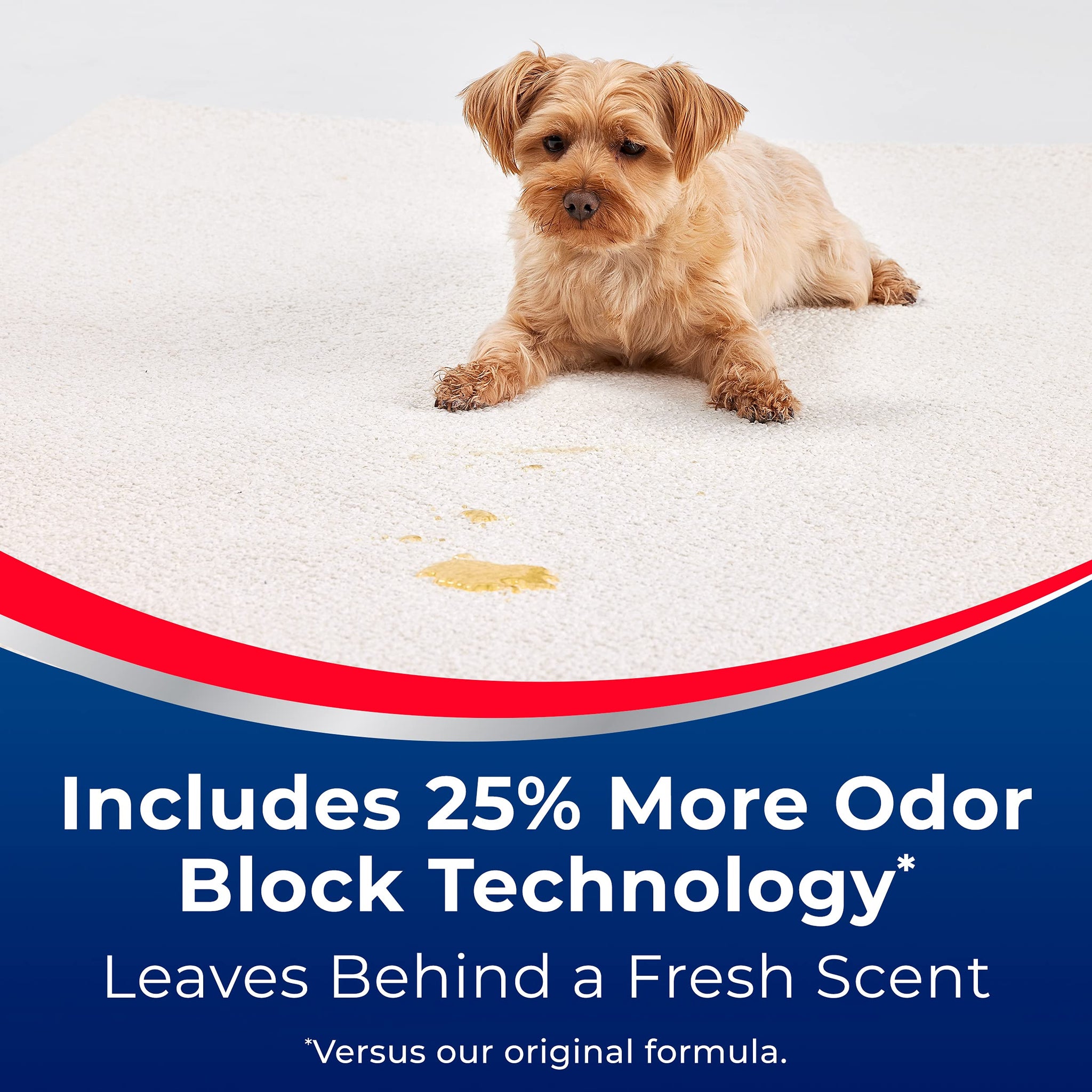 Woolite® Advantage INSTAclean™ Pet Stain Remover - 2 Pack, 3322