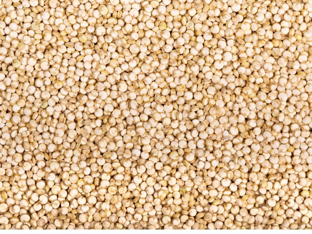 CEREAUSLY Organic White Quinoa - Premium Royal Quinoa from Bolivia - Kosher and Non-GMO Quinoa Bulk - Vegan and Gluten-Fee Cooking Quinoa - 25 LB