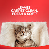 Resolve Steam Carpet Cleaner Solution Shampoo, 3.75 Lb Bottle, 2X Concentrate, Safe for Bissell, Hoover & Rug Doctor, Carpet Cleaner, Carpet Cleaner